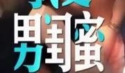 娱乐爆料君常来常往,揭秘常来常往背后的故事与幕后花絮