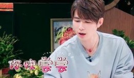 王嘉尔最新爆料新闻事件,揭秘娱乐圈不为人知的幕后真相