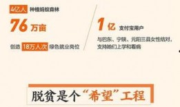 石家庄爆料视频大全,聚焦城市热点，揭秘生活百态