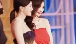 杨幂摄影师爆料视频