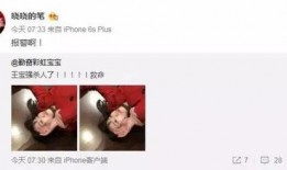 娱乐吃瓜实锤小说,吃瓜实锤，揭开明星背后的秘密