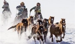 飞马最新爆料新闻