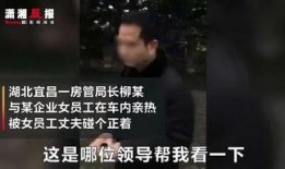 局长被老婆爆料视频,一场家庭风波引发的舆论风暴”