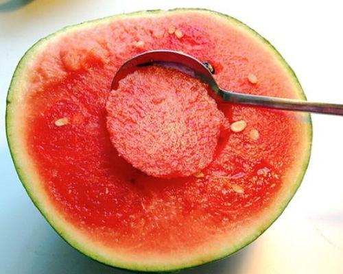 娱乐吃瓜酱喂西瓜