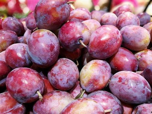 娱乐吃瓜少女西梅拿铁